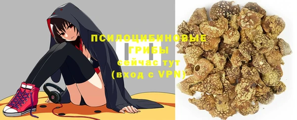 гидропоника Тында