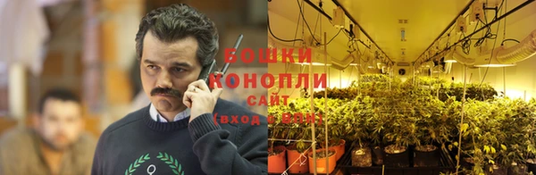 гидра Тутаев