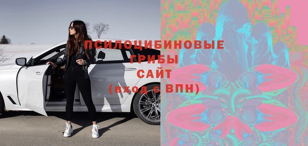MDMA Туринск