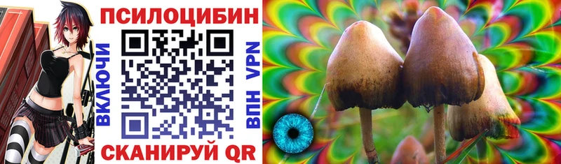 Купить где  Заинск  Галлюциногенные грибы GOLDEN TEACHER 